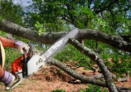 Best Lot and Land Clearing  in Lakeland South, WA